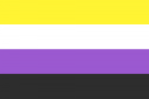 LGBTIQ Gender Identity Pride Flag - Non-Binary
