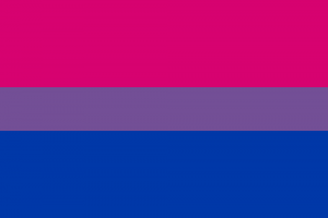 LGBTIQ Sexuality Flag - Bisexuality