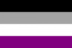 LGBTIQ Sexuality Pride Flag - Asexuality