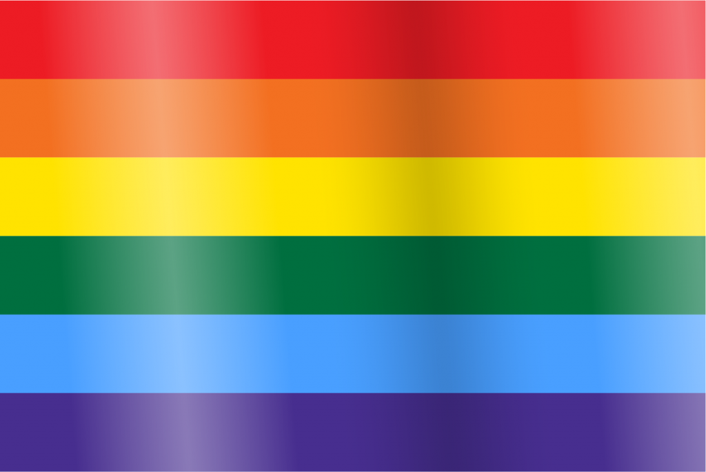 LGBT+ Sexuality & Gender Identity Rainbow Gay Pride Flags
