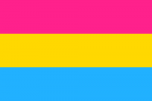 LGBTIQ Sexuality Pride Flag - Pansexuality