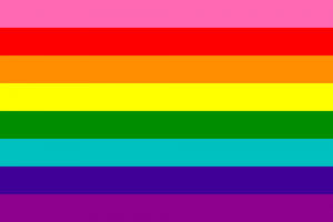 Original Gilbert Baker 8 Color Rainbow Gay Pride Flag